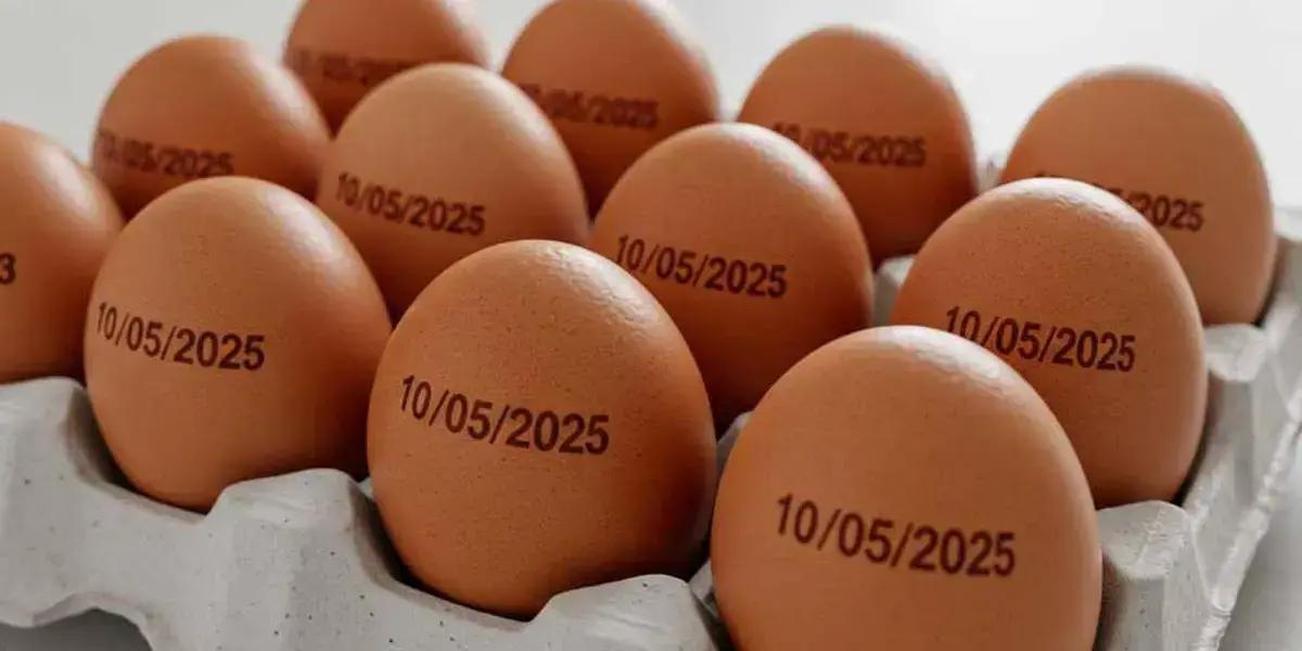 Determinação de Carimbar Validade em Ovos é Suspensa pelo Ministério da Agricultura