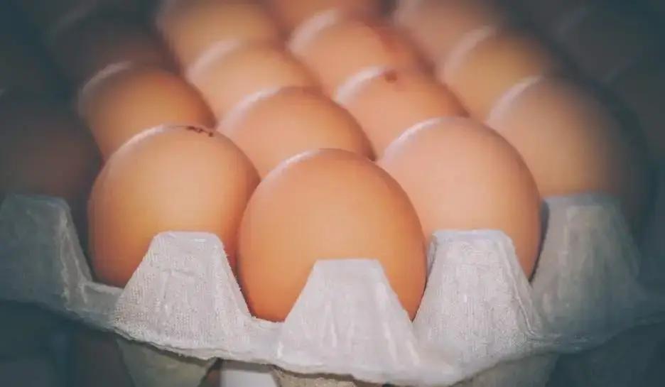 Governo revoga exigência de carimbo de validade nos ovos vendidos a granel