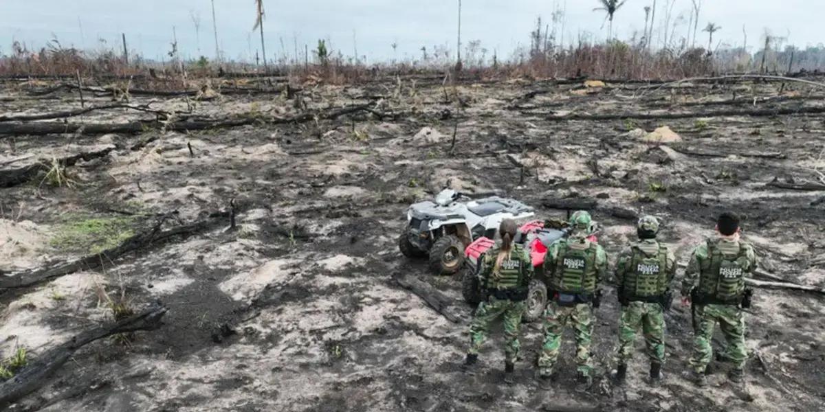 AGU busca recuperar R$ 76 milhões de desmatadores em cinco biomas