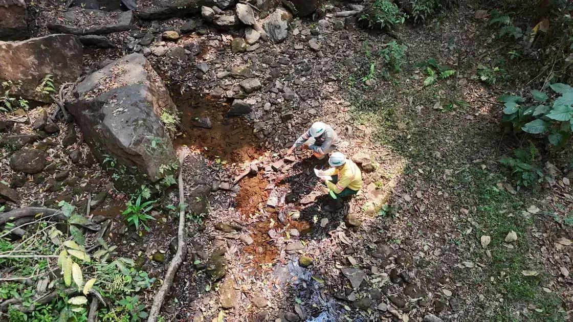 ArcelorMittal lança projeto ReNascentes para preservação de nascentes em Monlevade