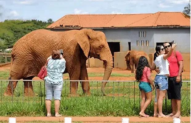 Entrada gratuita para mulheres no Zoológico de Brasília no próximo sábado (8)