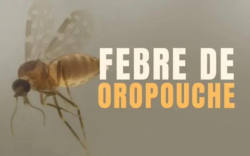 Febre Oropouche é Confirmada em Manhuaçu: Saiba Como se Proteger
