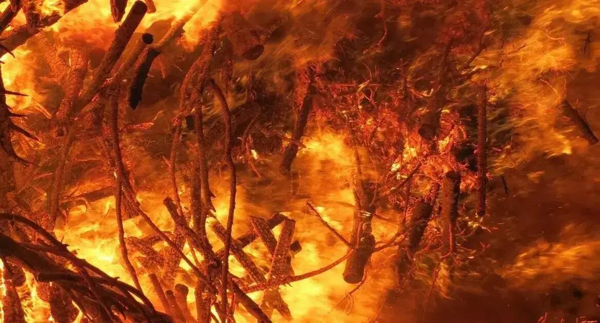 Japão enfrenta incêndio florestal devastador, o maior desde 1992