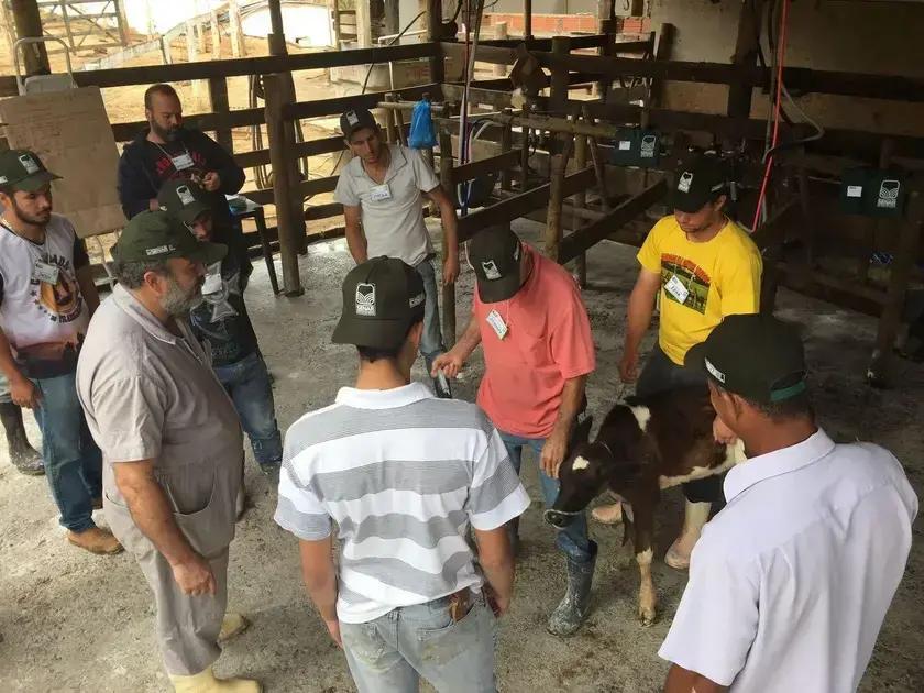 Sistema Faemg Senar disponibiliza 44 cursos gratuitos até 5 de abril