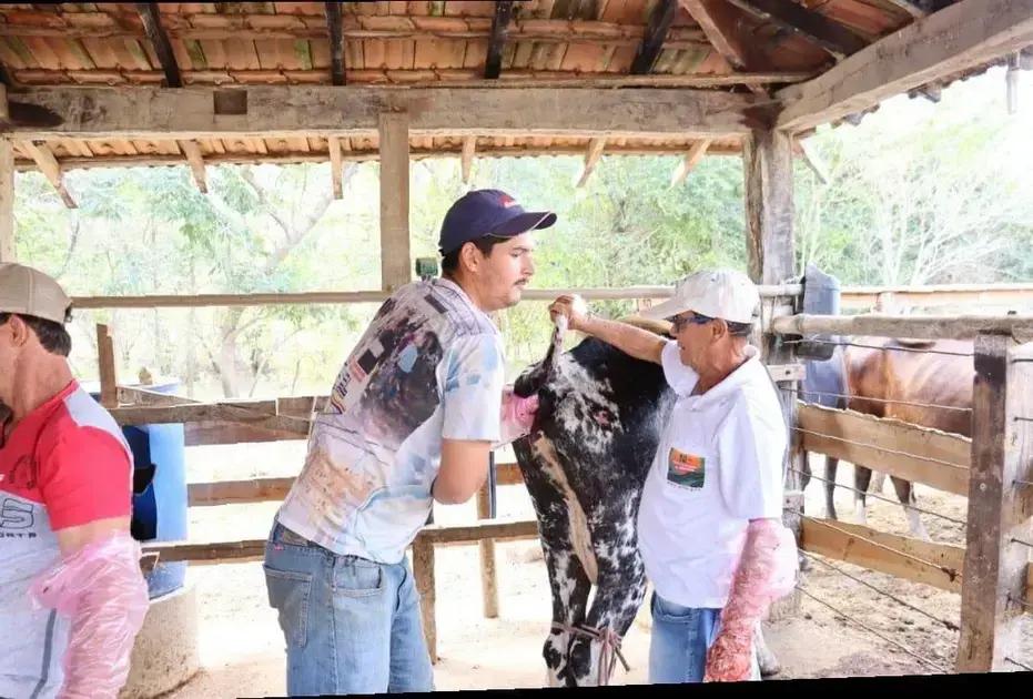 Sistema Faemg Senar promove 33 cursos gratuitos até sábado (26/04)