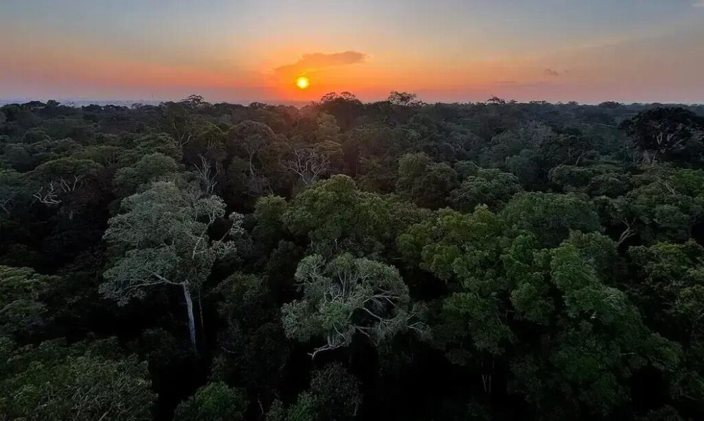 Brasília sedia a 5ª Conferência Nacional do Meio Ambiente a partir de hoje