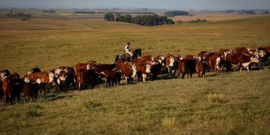 Crescimento do PIB no primeiro trimestre de 2025 traz esperança econômica