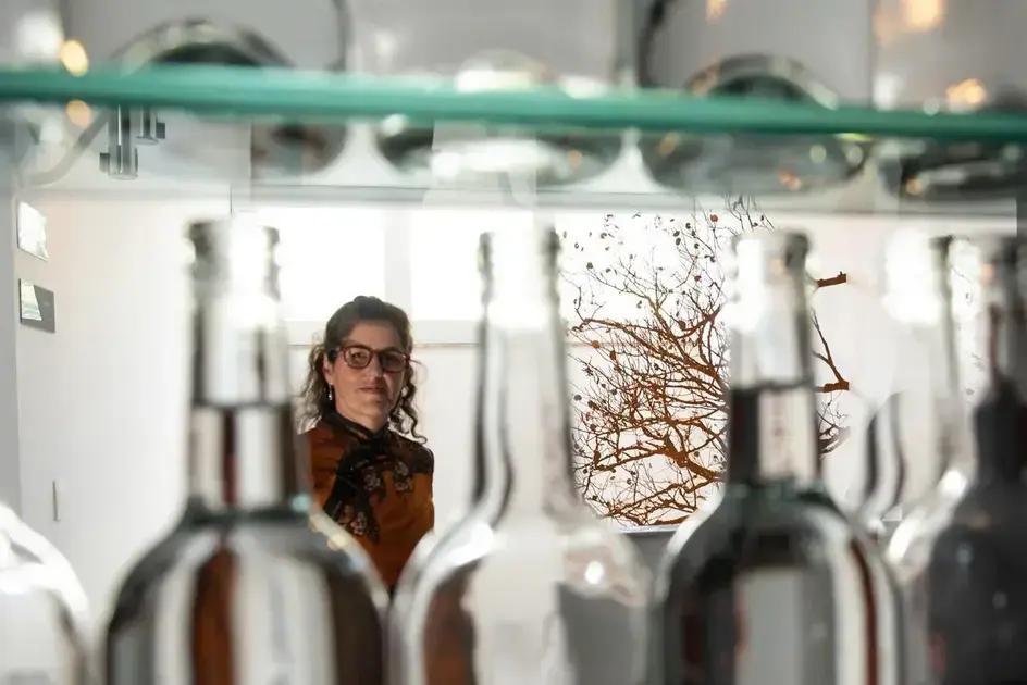 Exposição de Márcia Xavier destaca a interseção entre arte e natureza