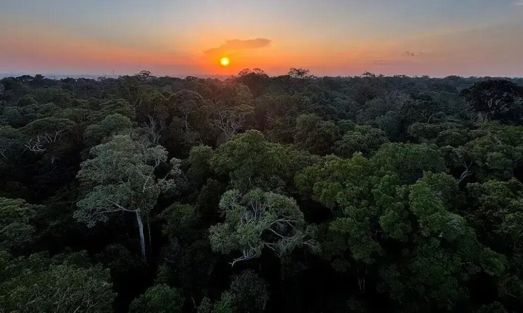 Itabira promove Semana do Meio Ambiente com foco em Unidades de Conservação