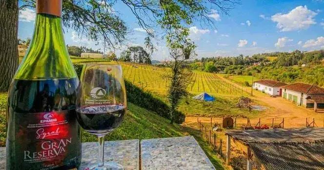 Minas Gerais brilha na Wine Trade Fair com vinhos e experiências culturais