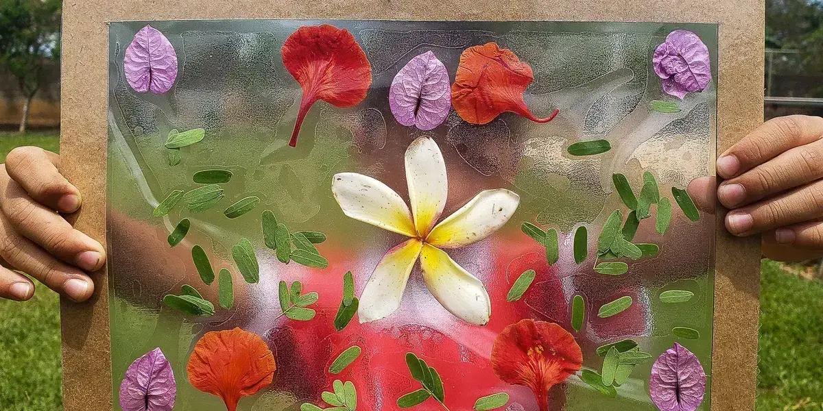 Natureza deve ser aliada, não ameaça, afirmam especialistas em educação ambiental