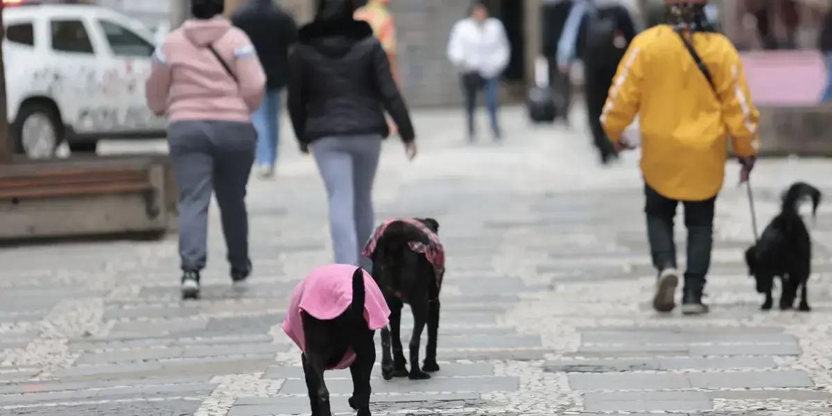 Temperaturas extremas: Parque Nacional do Itatiaia atinge -9,4ºC