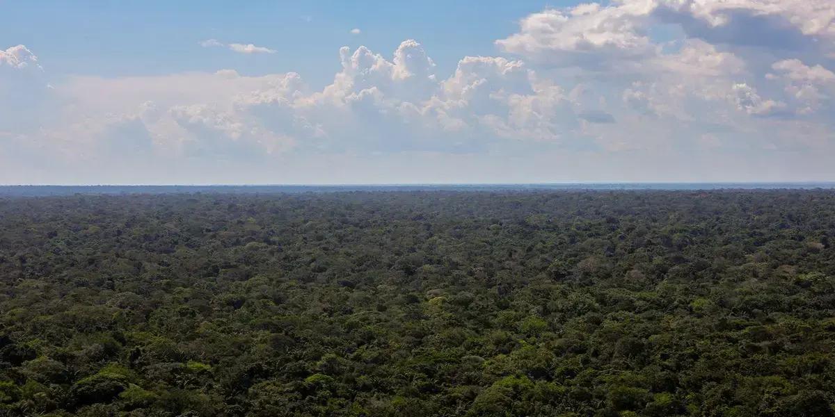Estratégia de investimento sustentável é apresentada para a Amazônia na COP30