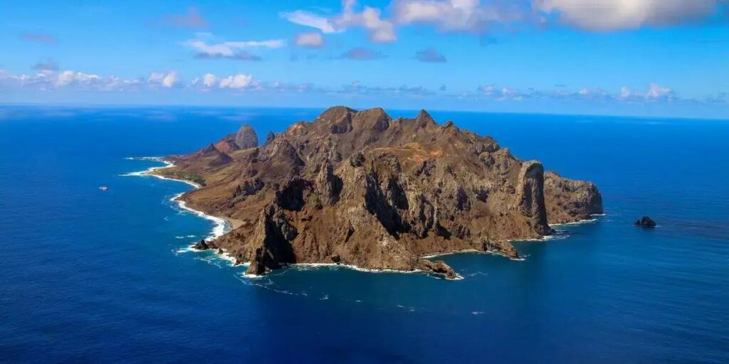 Ilha de Trindade se destaca na recuperação da flora nativa