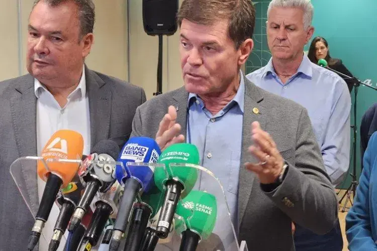 PIB do agronegócio mineiro alcança R$ 235 bilhões em 2024