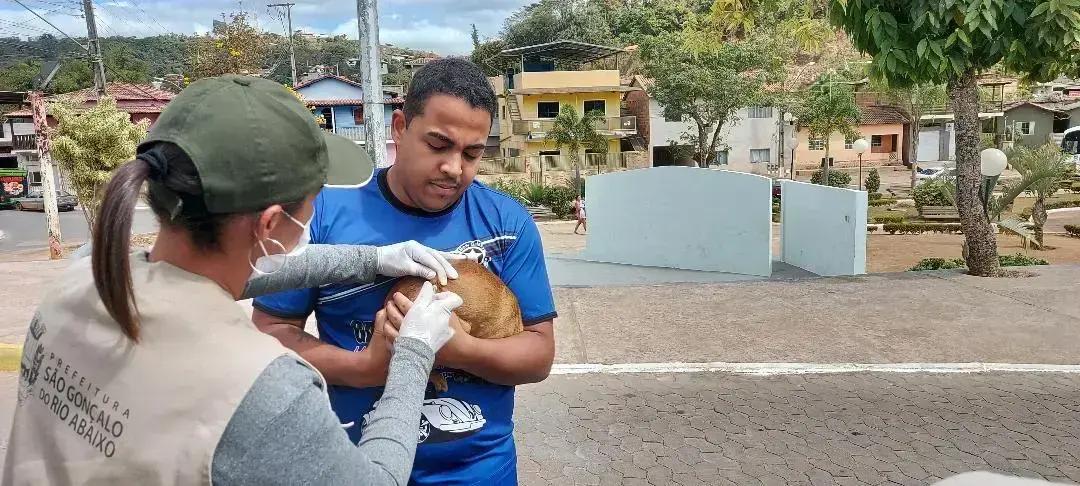 Vacinação antirrábica para animais em São Gonçalo começa em agosto