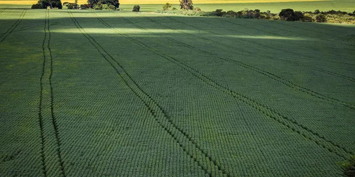 Agro se posiciona como solução para mudanças climáticas na COP30