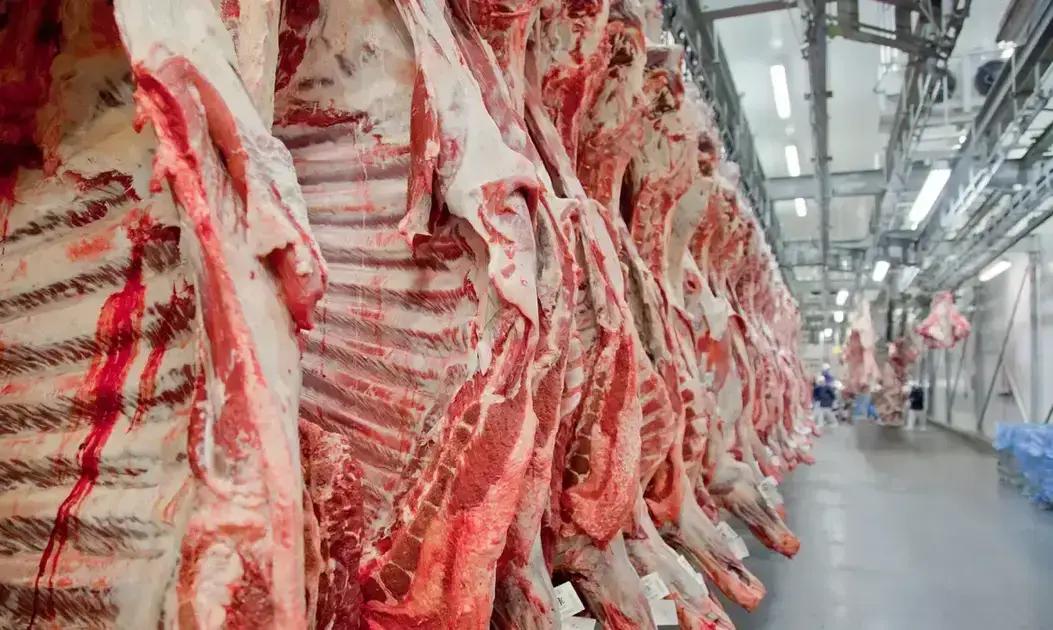 Exportação de carne bovina do Brasil atinge recorde antes de tarifaço nos EUA