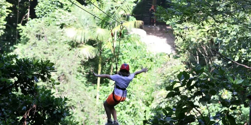 Gestores validam concessão de parques: a opinião sobre sustentabilidade