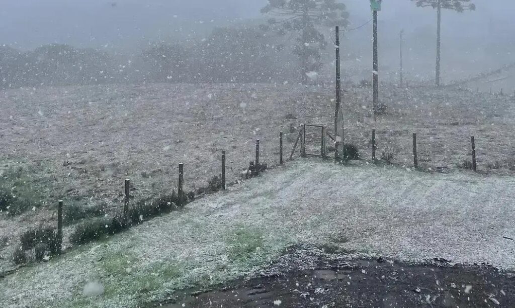 Nevou no Rio Grande do Sul: cidades registram flocos de neve