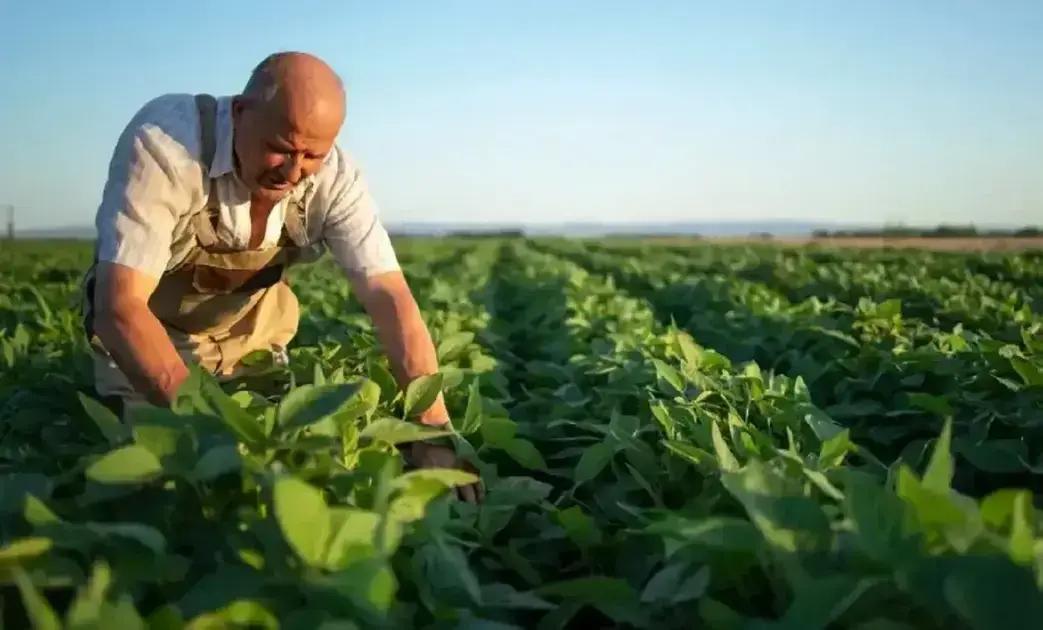 Nova Era recebe evento ‘Nosso Agro’ com foco em agronegócio