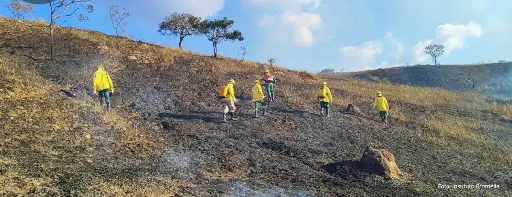 Queimadas em Itabira: 67 focos de incêndio registrados em 2025
