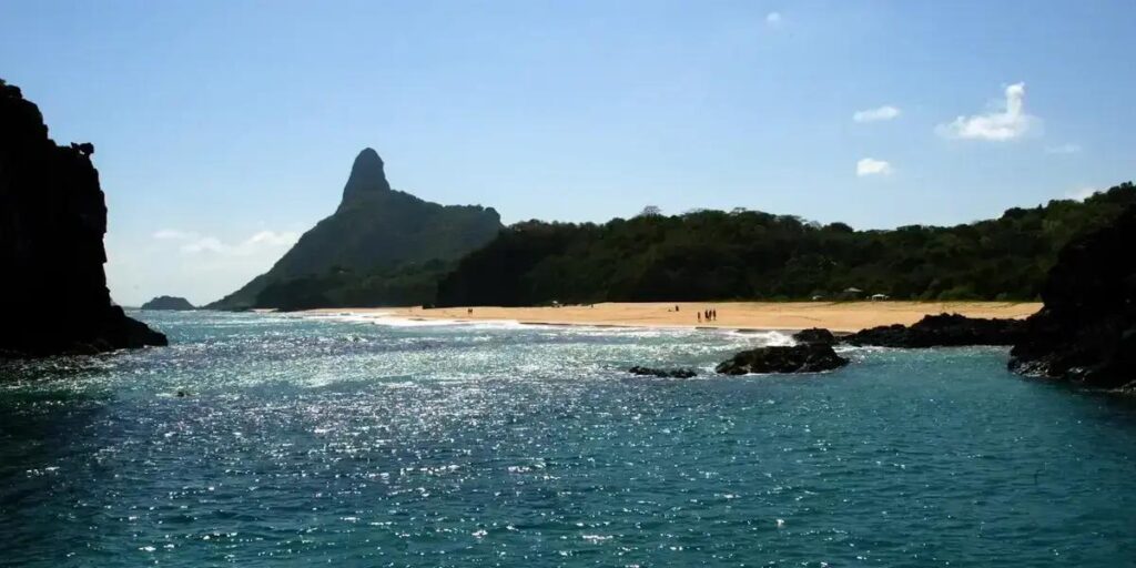 Espécies exclusivas nas ilhas brasileiras: pesquisa amplia conhecimento