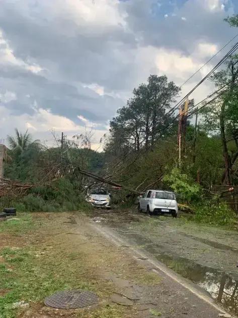 Fortes chuvas causam queda de árvores e acidente na MG-030 em Nova Lima