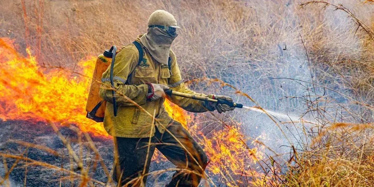 Incêndio florestal na Chapada dos Veadeiros é provocado por raios