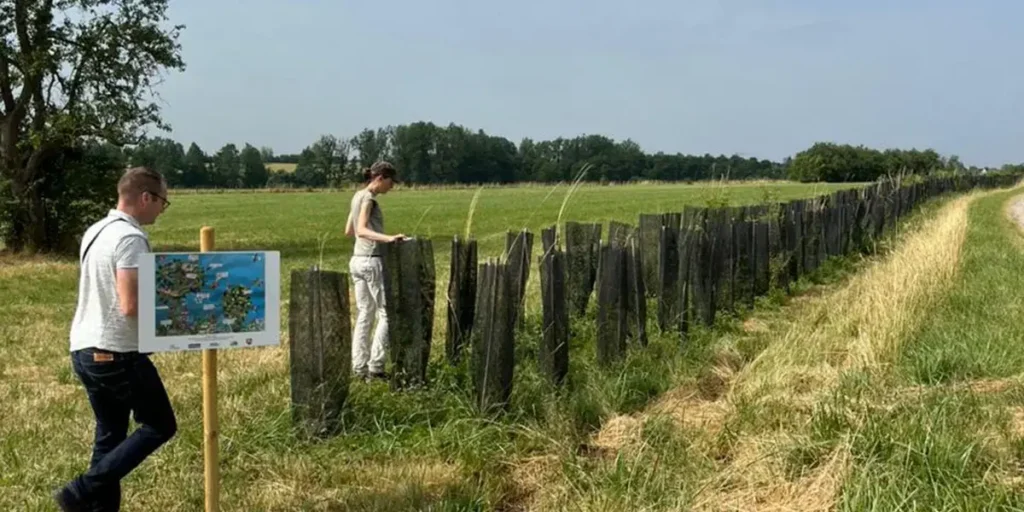 Agrofloresta: A união entre lavouras e florestas para combater a crise climática