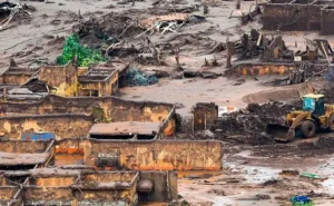 Donald Trump reduz tarifas sobre café e carne: impacto nas exportações