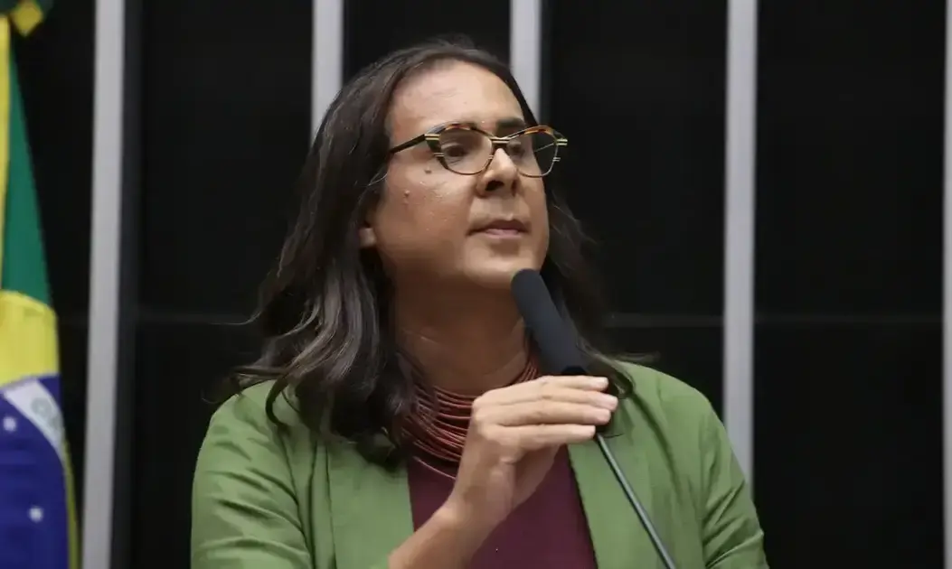 Duda Salabert celebra recesso no Congresso como proteção ao cidadão