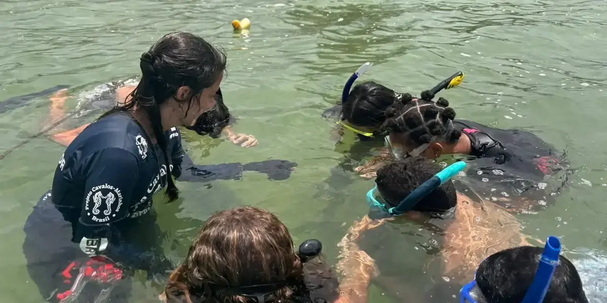 Iniciativa no Rio de Janeiro treina jovens como guardiões dos cavalos-marinhos
