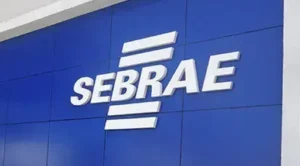 Sebrae amplia prazos para inscrições em vagas do programa ALI Produtividade