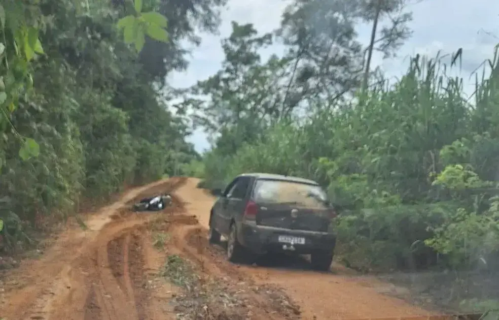 Ataque de abelhas em Minas Gerais causa morte e deixa feridos