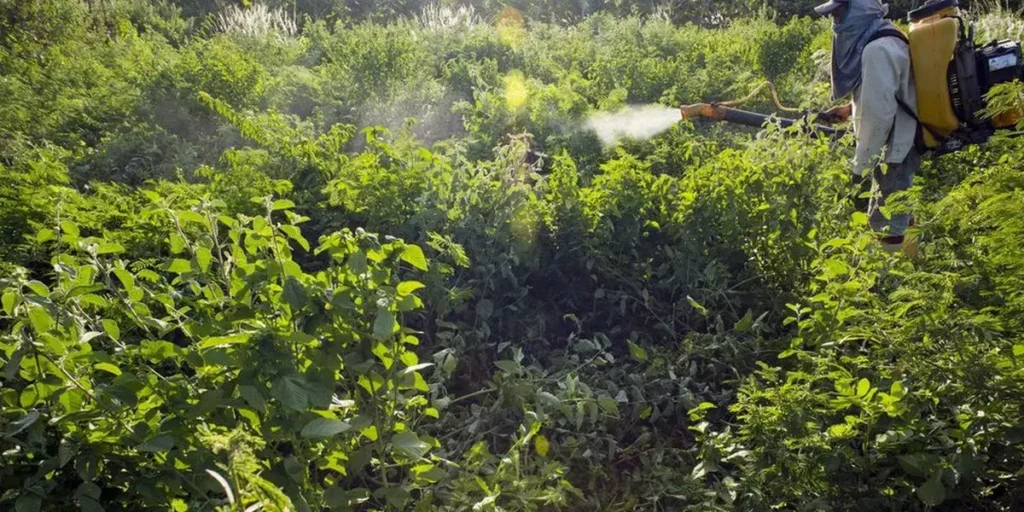 Comitê divulga ações prioritárias para o Programa de Redução de Agrotóxicos