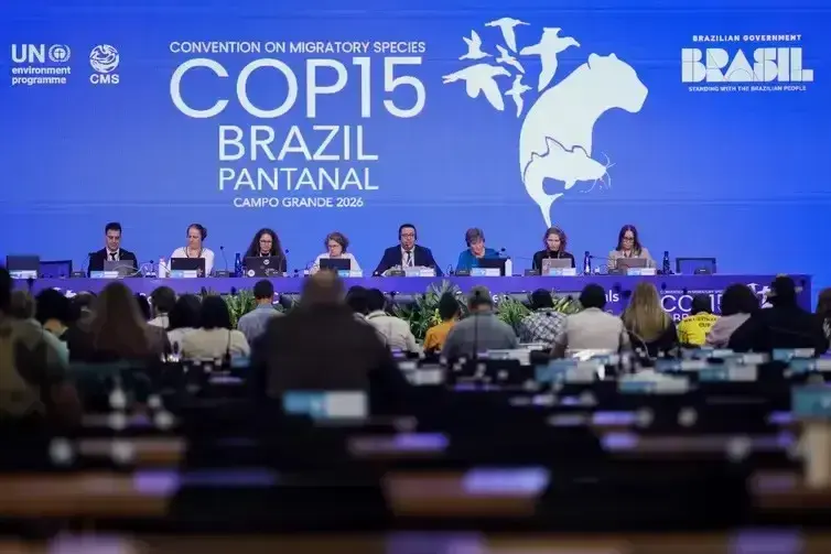 COP15 aprova proteção reforçada para bagres gigantes e ariranhas da Amazônia