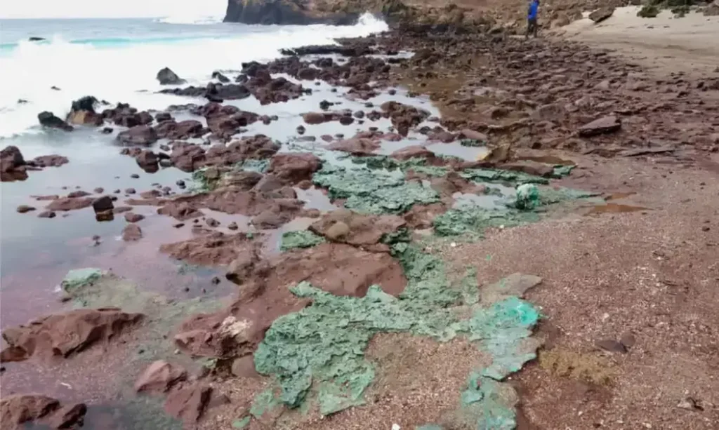 Descoberta de rochas plásticas em ninho de tartarugas na Ilha de Trindade