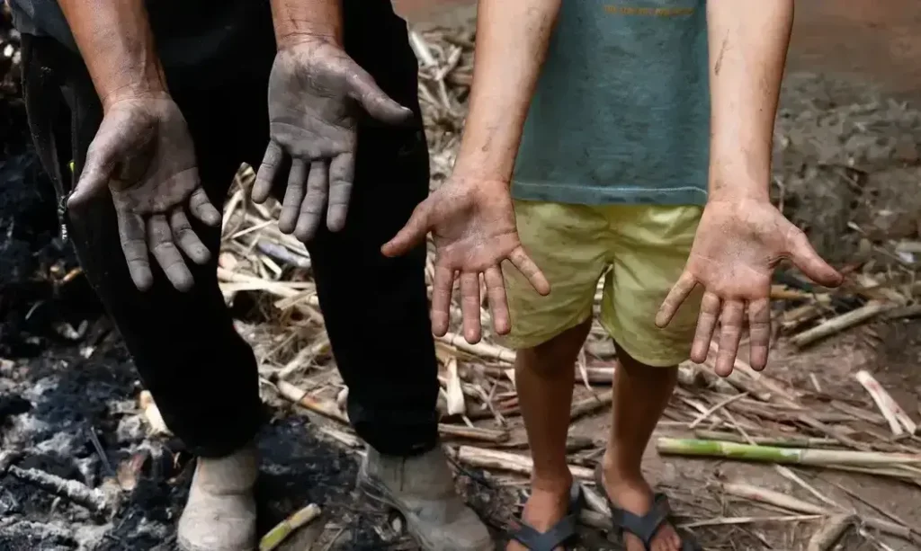 Um mês após as chuvas em Minas Gerais: a luta pela reconstrução