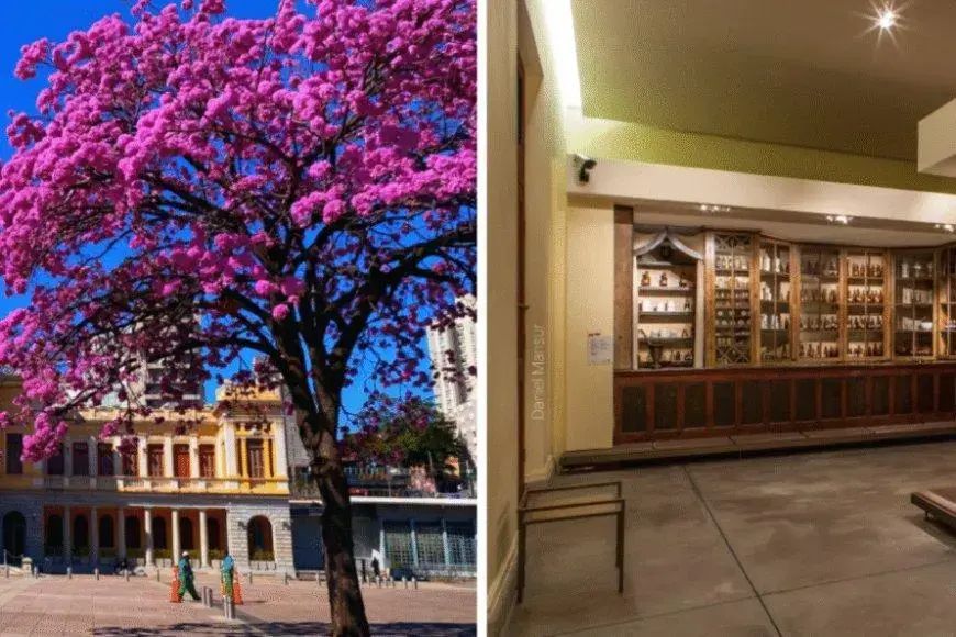 Feira da Estação realiza edição especial de Dia das Mães no SESI Museu de Artes e Ofícios