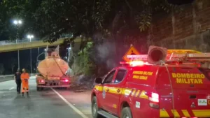 Incêndio em árvore exige a atuação de bombeiros e Defesa Civil na BR-381