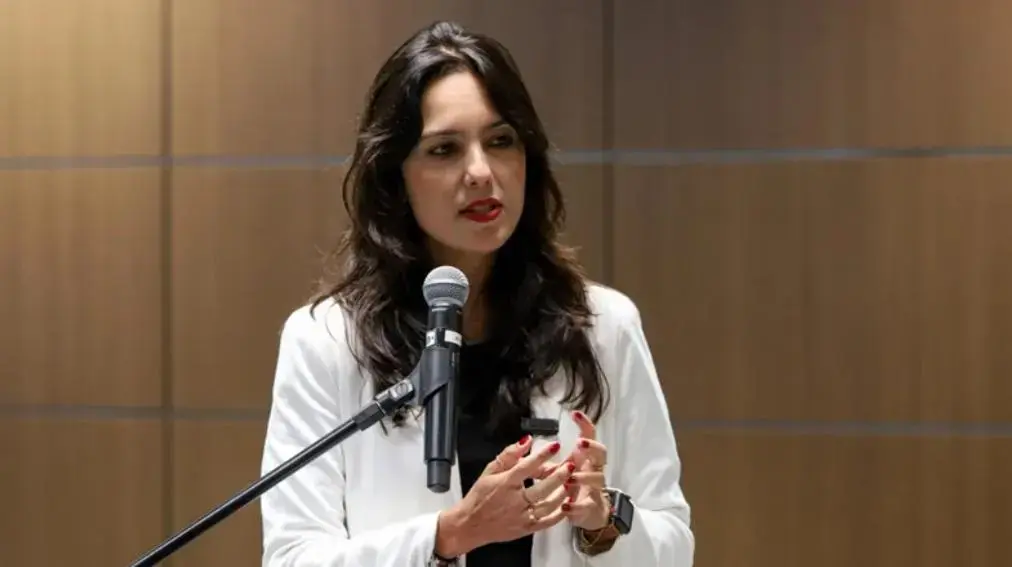 Mineração se destaca em investimentos em Minas: Infraestrutura e Energia Solar também crescem