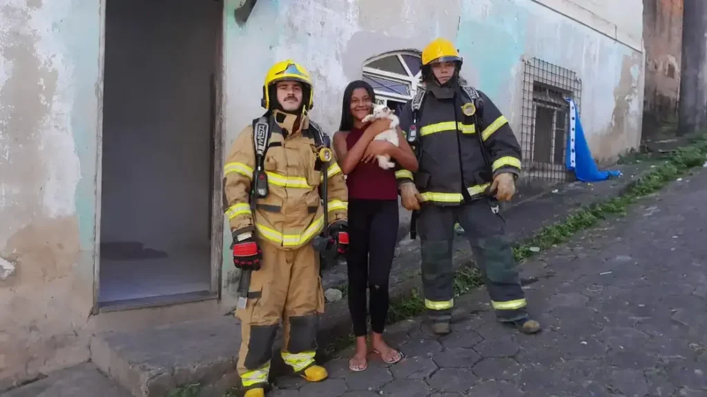 Bombeiros resgatam felino em meio a incêndio em uma casa em Itabira