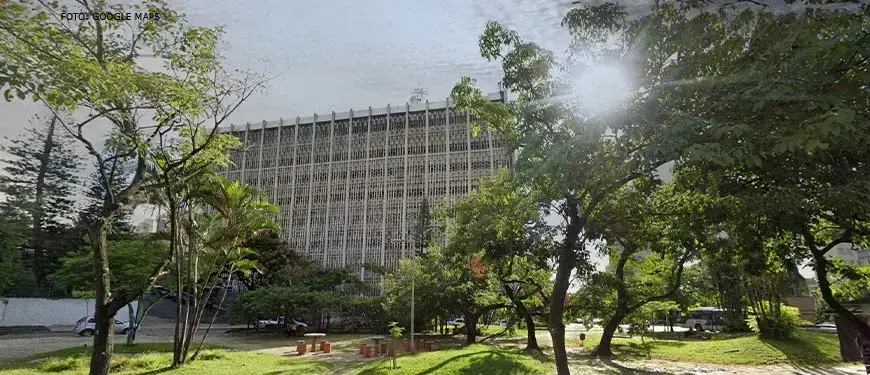 Clínica veterinária em BH é condenada por diagnóstico incorreto de leucemia felina