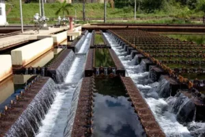 Égua causa interrupção no abastecimento de água em Belo Horizonte e região
