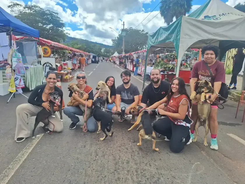 Feira de Arte em Itabira promove adoção responsável de cães resgatados