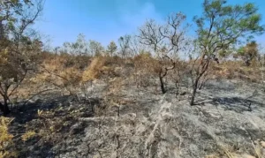 Mudanças climáticas impactam 85% da população brasileira, revela pesquisa