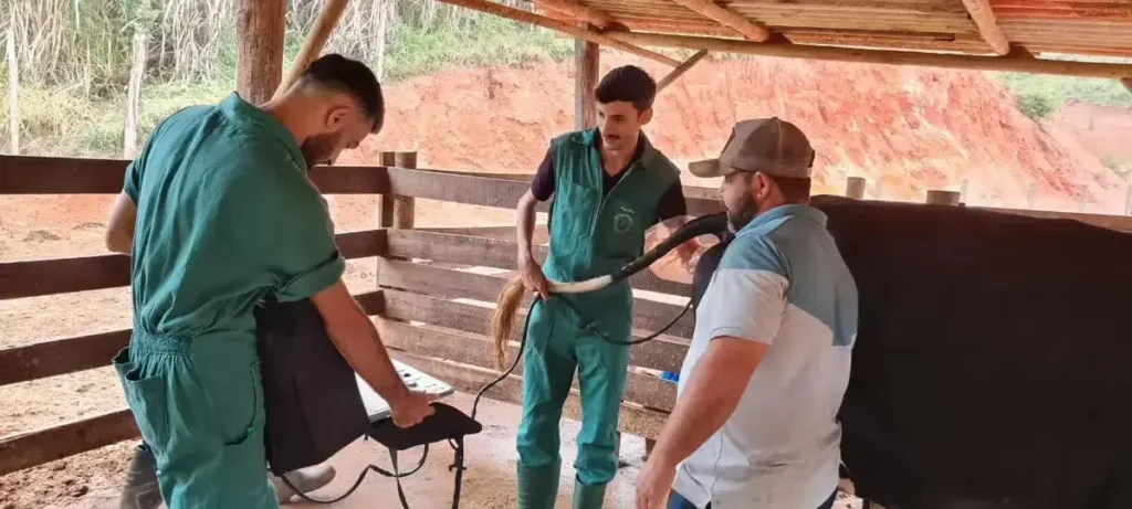 Parceria entre IFMG e Ceipart potencializa produção de queijo em São Gonçalo do Rio Abaixo