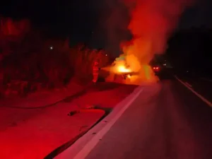 Motorista consegue salvar filhos em incêndio de veículo na BR-265 em Lavras