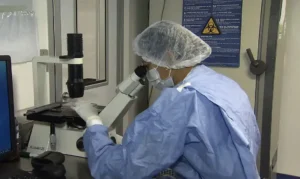 Avanços na cura do HIV: novos casos de remissão com transplante de células-tronco